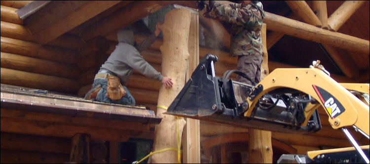 Log Home Log Replacement  Fauquier County, Virginia